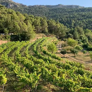 El Celler De Cal Garriga , Capafonts España